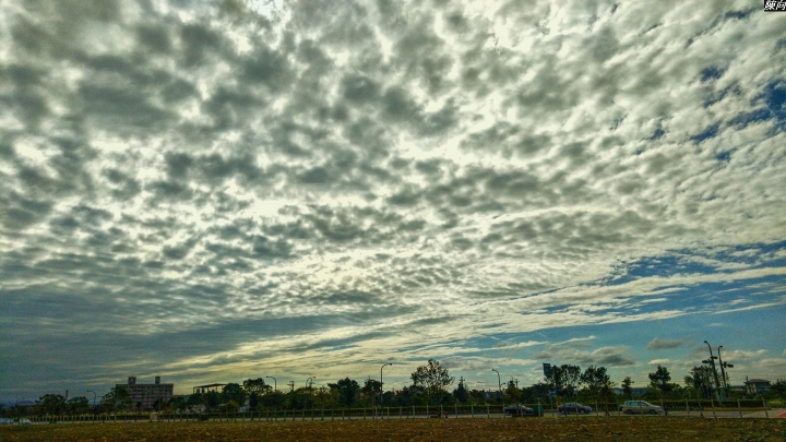 (第94批圖) LG G4 &G5&V10&v20 日夜拍研究團 精選作品2017.2.15