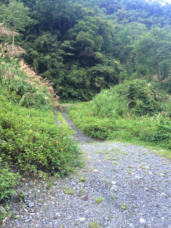 SSCX 單速車田字環島前傳 (完)