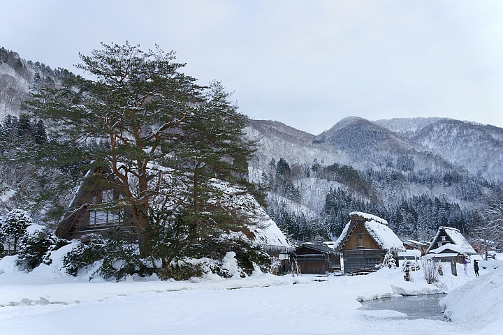 寒流來襲，請大家來分享雪景的照片吧