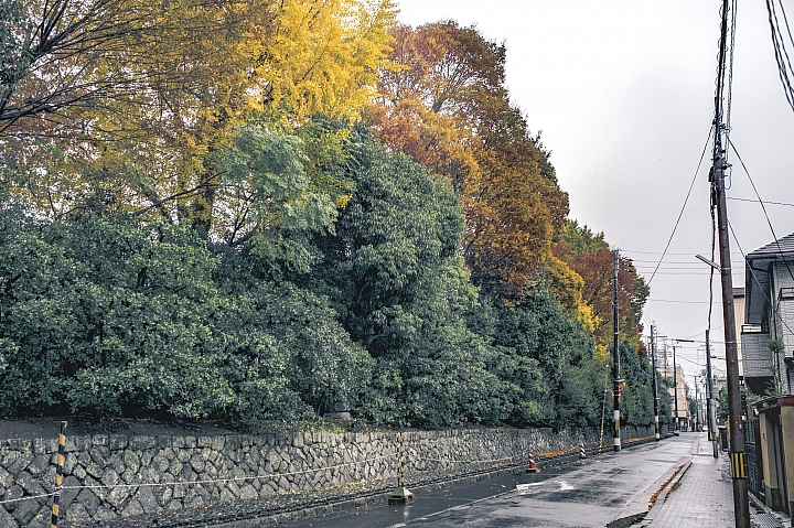 [D4] 京都賞楓攝影（後製）圖多