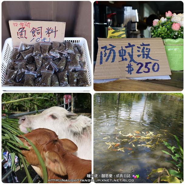 【花蓮好FUN鬆】3天2夜親子輕旅行，花蓮海岸慢漫遊、平價美食、超夯拌手禮、新興秘境探訪，絕對不能錯過