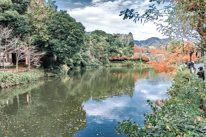 [D4] 京都賞楓攝影（後製）圖多