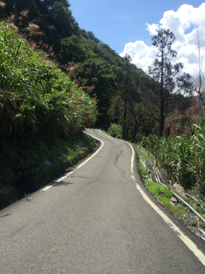 SSCX 單速車田字環島前傳 (完)