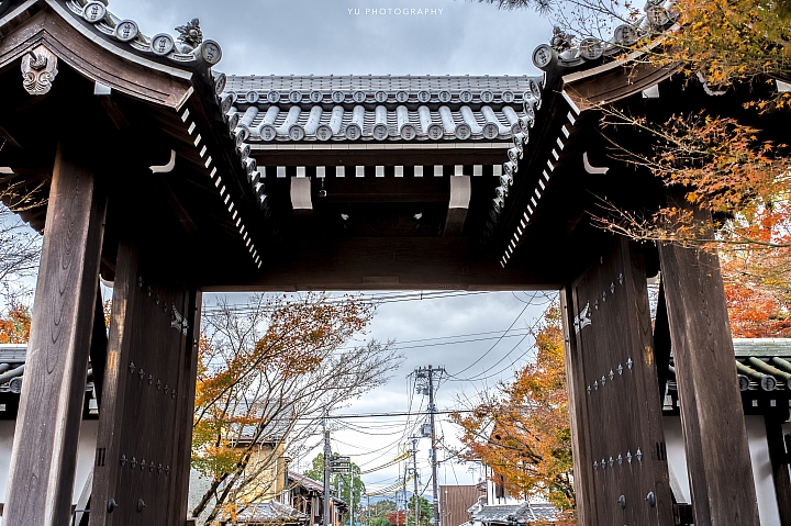 [D4] 京都賞楓攝影（後製）圖多