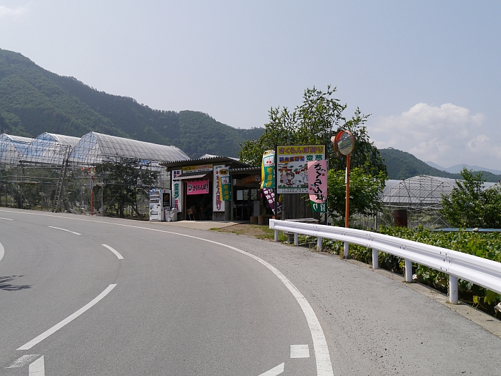 日本山梨縣 "塩山"  採鹽還是採櫻桃 ?!