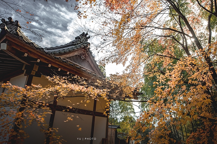[D4] 京都賞楓攝影（後製）圖多