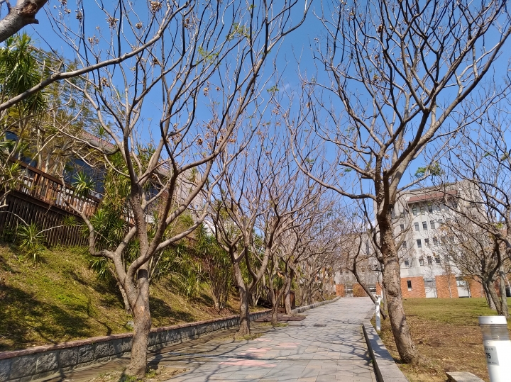實測ZenFone 3 Zoom拍照（也跟第一名的Google Pixel小PK一下）