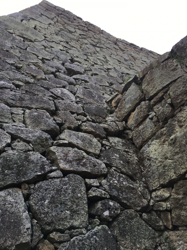 【遊。2016姬路城】日本世界遺產、三大名城之一  像白鷺展翅又稱白鷺城