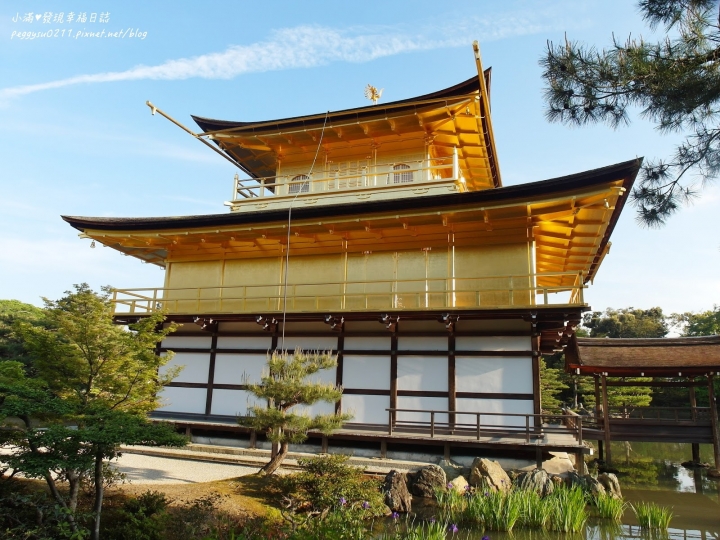 (京都景點) 鹿苑寺-金閣寺 ❤ 京都必遊的金碧輝煌絕美景點，三島由紀夫筆下的美與人生