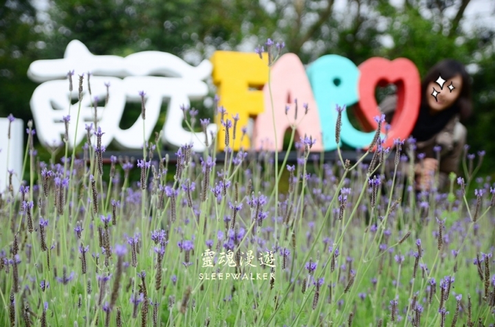 ［台南柳營。景點］南元花園休閒農場－闔家歡樂，情侶約會的後花園