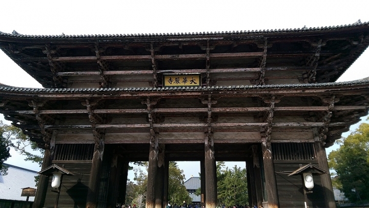 來奈良東大寺享受被小(老)鹿包圍的感覺