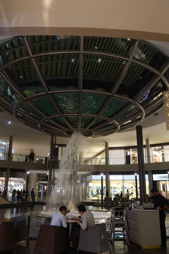 ＜新加坡＞2016新加坡知性之旅~烏節路、牛車水、武吉士、金融區和夜景