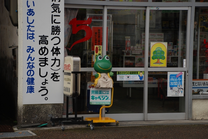 ＜日本＞2009日本賞楓～武家屋敷