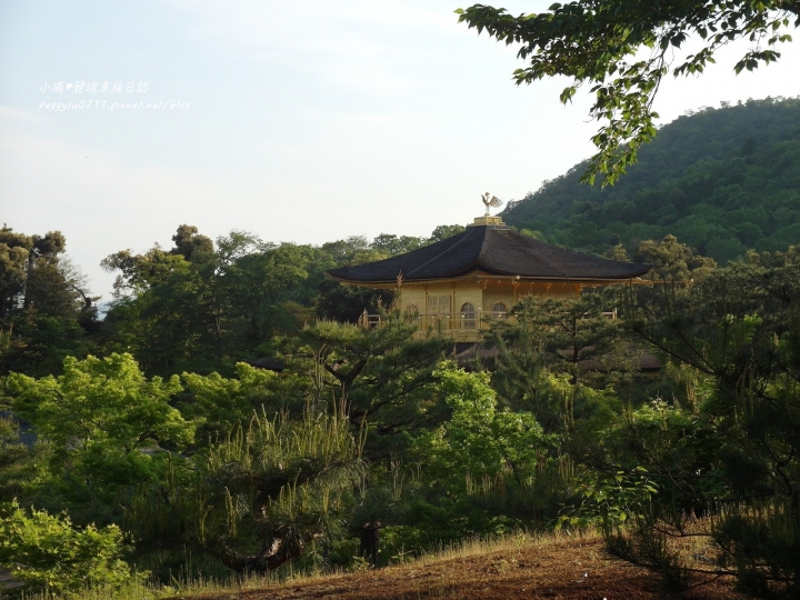 (京都景點) 鹿苑寺-金閣寺 ❤ 京都必遊的金碧輝煌絕美景點，三島由紀夫筆下的美與人生