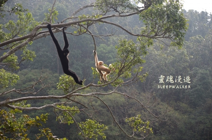 ［台南柳營。景點］南元花園休閒農場－闔家歡樂，情侶約會的後花園
