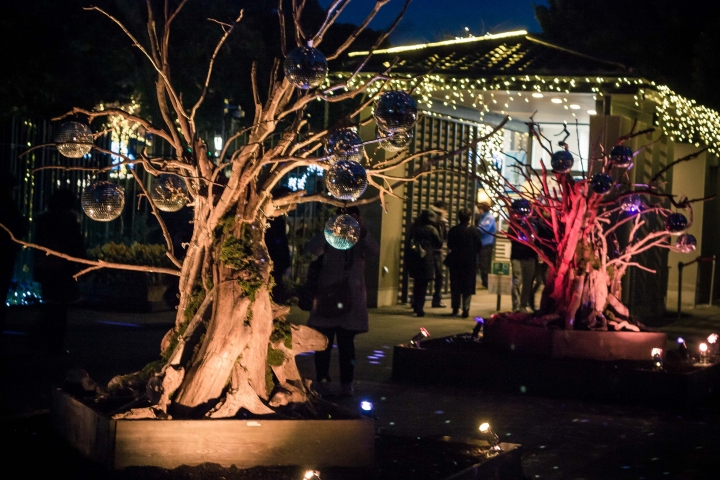 【行程。遊記】神奈川 江之島 被招待非業配的午後小旅行 青春與海的潮歌  湘南寶石 湘南の宝石 江之島光色祭典 伴手禮 餐廳 吃飯 古蹟 景點 推薦 車票