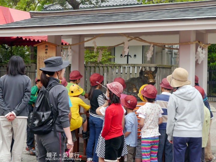 【日本。東京】龜戶天神社賞紫藤花～JR總武線上，都市中的世外桃源@還可讓晴空塔入鏡，超殺底片的好拍美景！