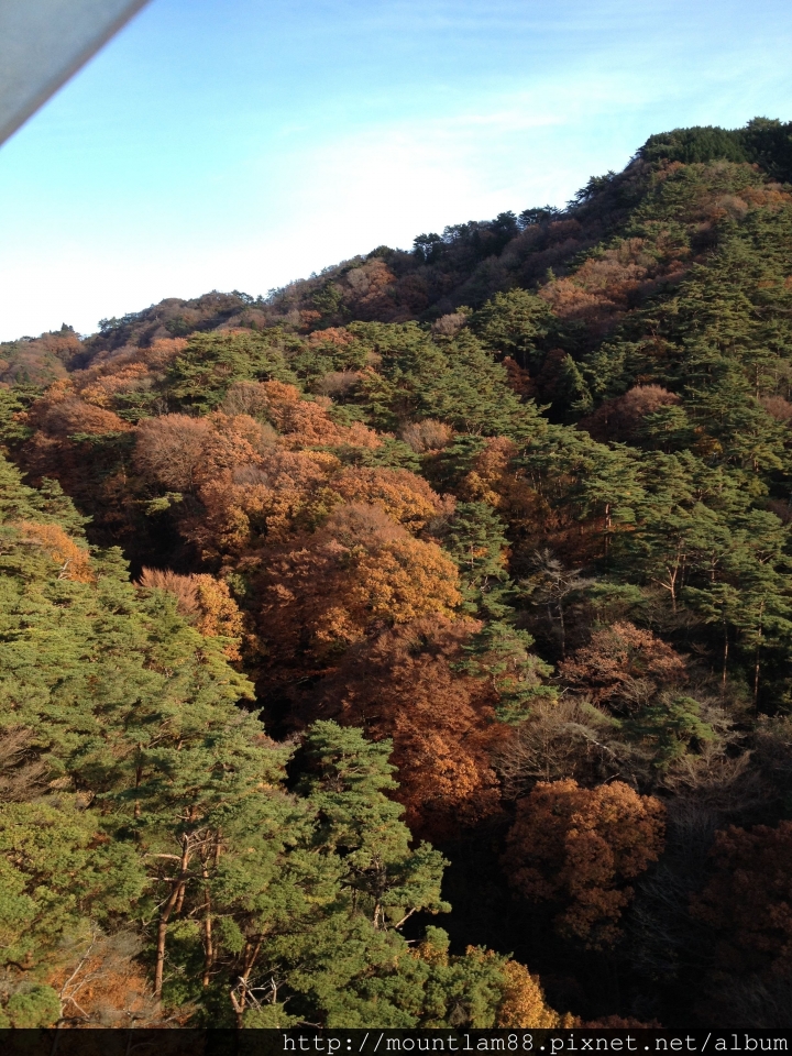 有馬【行程】六甲山溫泉夜景一日遊---買周遊卷免費泡溫泉