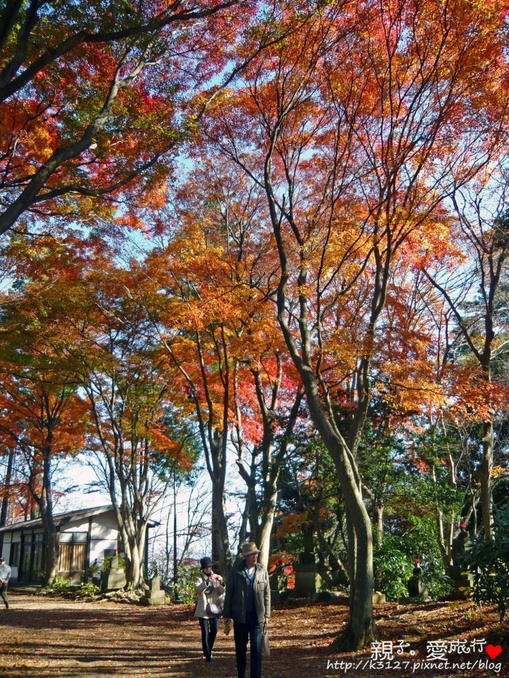 【日本。東京】高尾山賞楓紅～登高遠眺遊山趣＠新宿出發，60分鐘內抵達！賞楓名所～