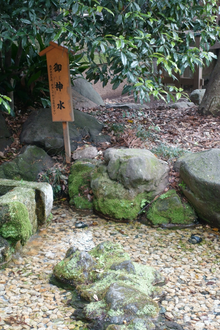 ＜日本＞2016全家人的日本行~川越、冰川神社、美美庵和服