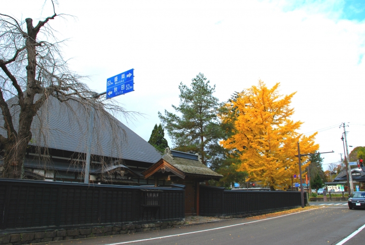 ＜日本＞2009日本賞楓～武家屋敷