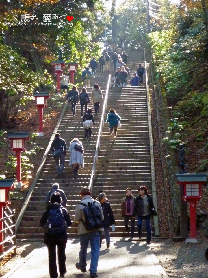【日本。東京】高尾山賞楓紅～登高遠眺遊山趣＠新宿出發，60分鐘內抵達！賞楓名所～