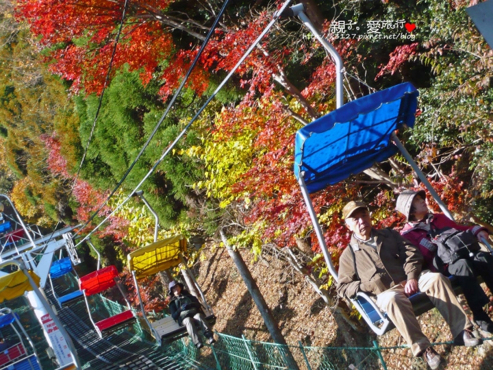 【日本。東京】高尾山賞楓紅～登高遠眺遊山趣＠新宿出發，60分鐘內抵達！賞楓名所～