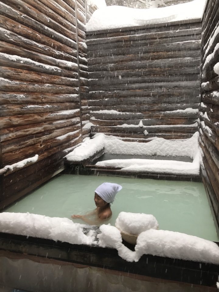 500/人~遊日本東北7天6夜~藏王樹冰，滑雪，天空草莓吃到飽~
