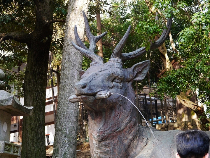 來奈良東大寺享受被小(老)鹿包圍的感覺