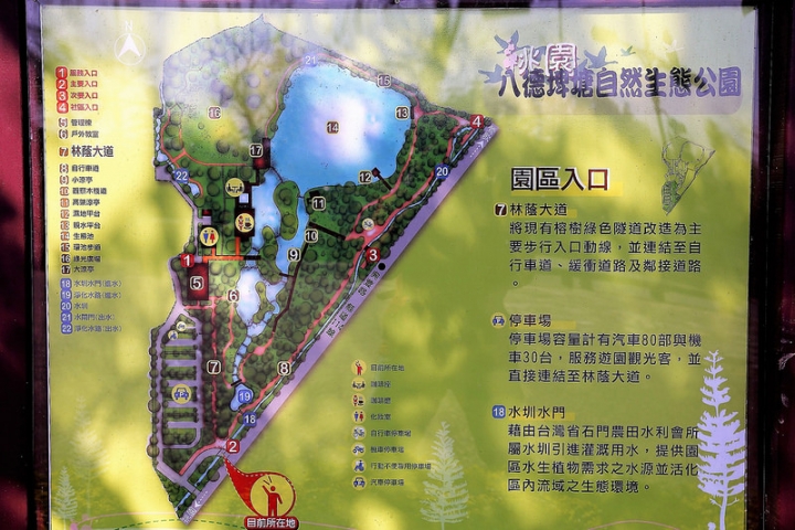 【親子景點】桃園八德埤塘自然生態公園。能夠觀察生態、寓教於樂的野餐放風好去處