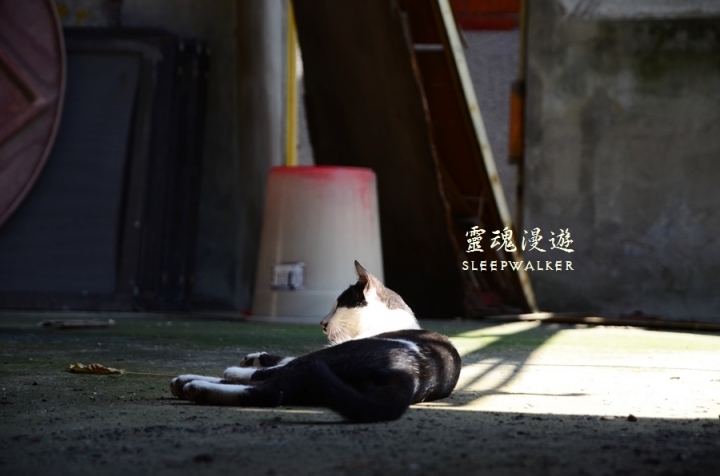 ［台南南區。景點］海濱旁的藝術文創聚落－喜樹社區