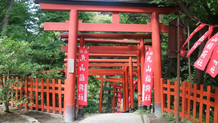 【遊。2016鎌倉】江之島、鎌倉大佛、長谷觀音寺、鶴岡八幡宮 一日遊