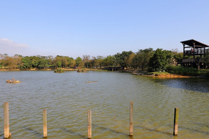 【親子景點】桃園八德埤塘自然生態公園。能夠觀察生態、寓教於樂的野餐放風好去處