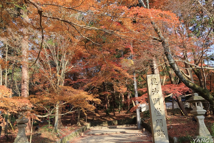 【京都山科】毘沙門堂，紅葉期間至少得來兩次