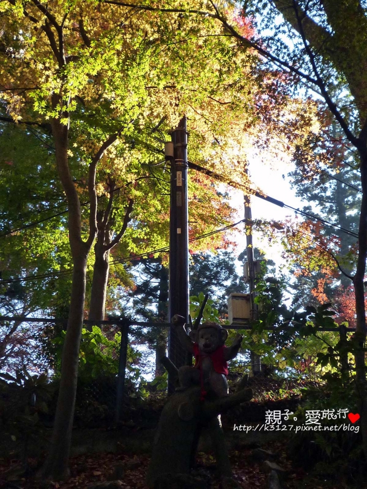 【日本。東京】高尾山賞楓紅～登高遠眺遊山趣＠新宿出發，60分鐘內抵達！賞楓名所～