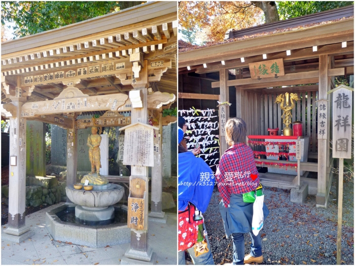 【日本。東京】高尾山賞楓紅～登高遠眺遊山趣＠新宿出發，60分鐘內抵達！賞楓名所～