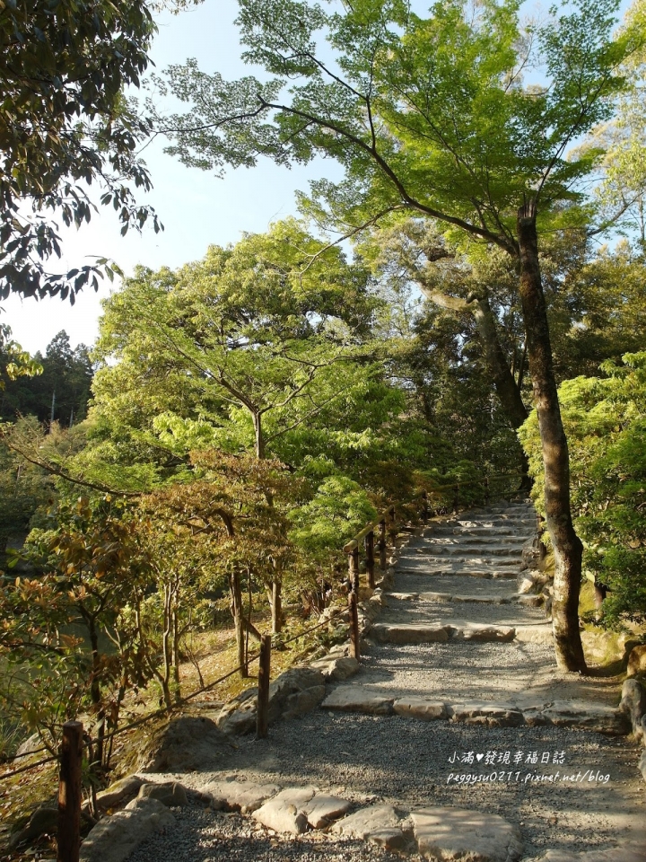 (京都景點) 鹿苑寺-金閣寺 ❤ 京都必遊的金碧輝煌絕美景點，三島由紀夫筆下的美與人生