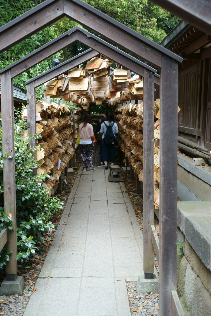 ＜日本＞2016全家人的日本行~川越、冰川神社、美美庵和服
