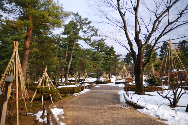 [冬之日本中部山區自助行]-金澤散策-東茶屋~兼六園~金澤城(一日自由乘車巴士)