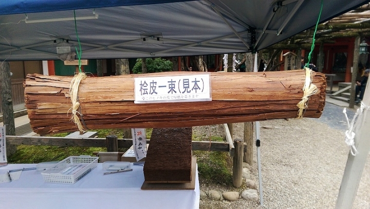 來奈良東大寺享受被小(老)鹿包圍的感覺