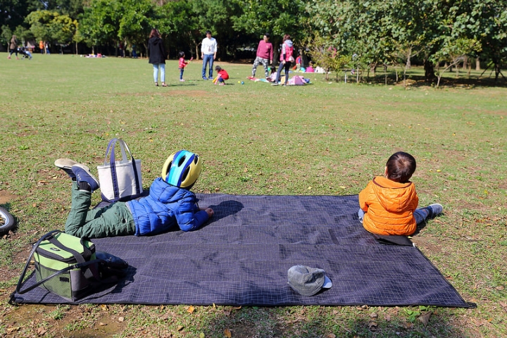 【親子景點】桃園八德埤塘自然生態公園。能夠觀察生態、寓教於樂的野餐放風好去處