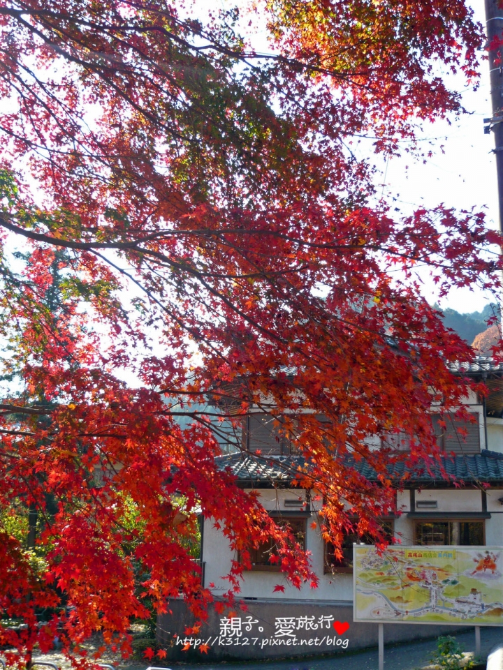 【日本。東京】高尾山賞楓紅～登高遠眺遊山趣＠新宿出發，60分鐘內抵達！賞楓名所～