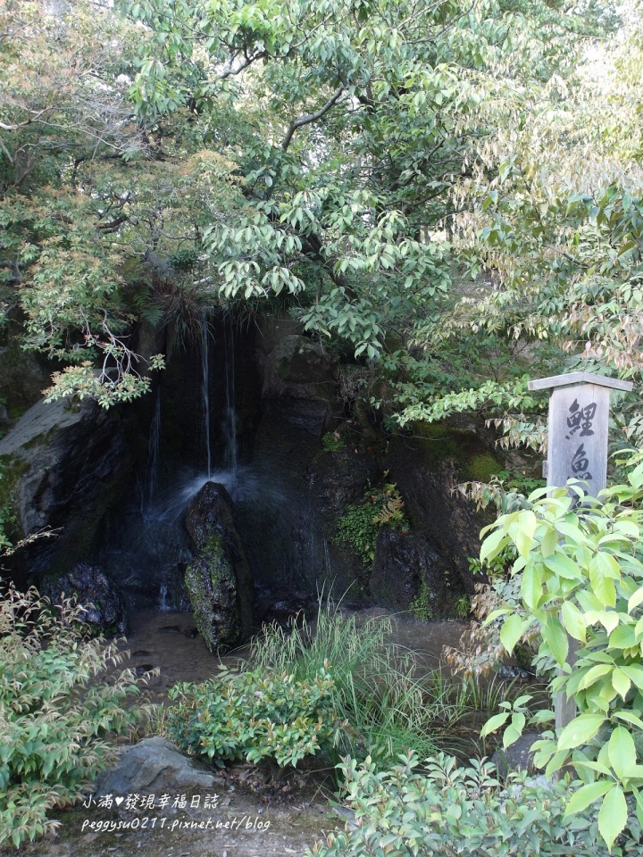 (京都景點) 鹿苑寺-金閣寺 ❤ 京都必遊的金碧輝煌絕美景點，三島由紀夫筆下的美與人生