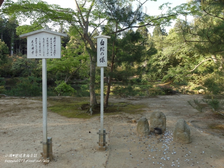 (京都景點) 鹿苑寺-金閣寺 ❤ 京都必遊的金碧輝煌絕美景點，三島由紀夫筆下的美與人生