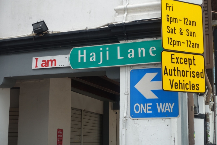 ＜新加坡＞2016新加坡知性之旅~烏節路、牛車水、武吉士、金融區和夜景