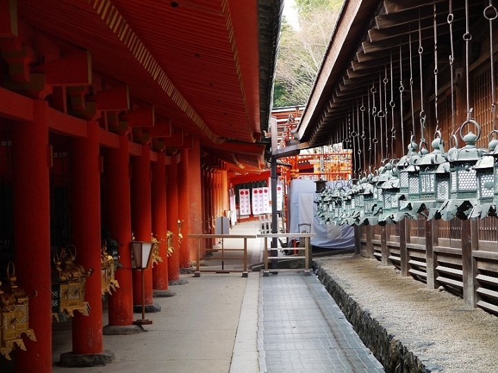來奈良東大寺享受被小(老)鹿包圍的感覺