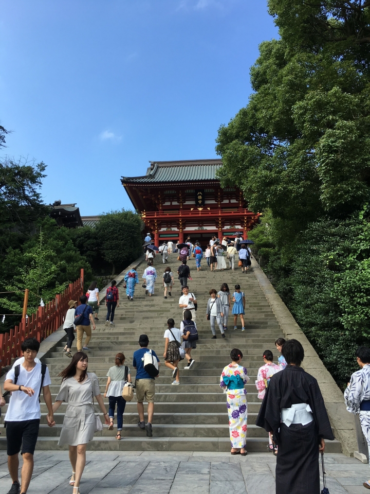 【遊。2016鎌倉】江之島、鎌倉大佛、長谷觀音寺、鶴岡八幡宮 一日遊