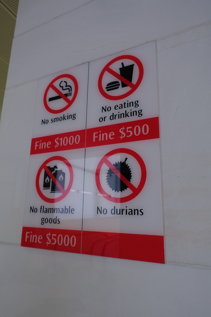 ＜新加坡＞2016新加坡知性之旅~烏節路、牛車水、武吉士、金融區和夜景