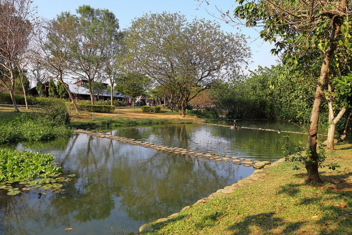 【親子景點】桃園八德埤塘自然生態公園。能夠觀察生態、寓教於樂的野餐放風好去處