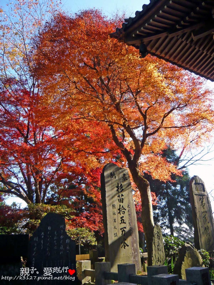 【日本。東京】高尾山賞楓紅～登高遠眺遊山趣＠新宿出發，60分鐘內抵達！賞楓名所～